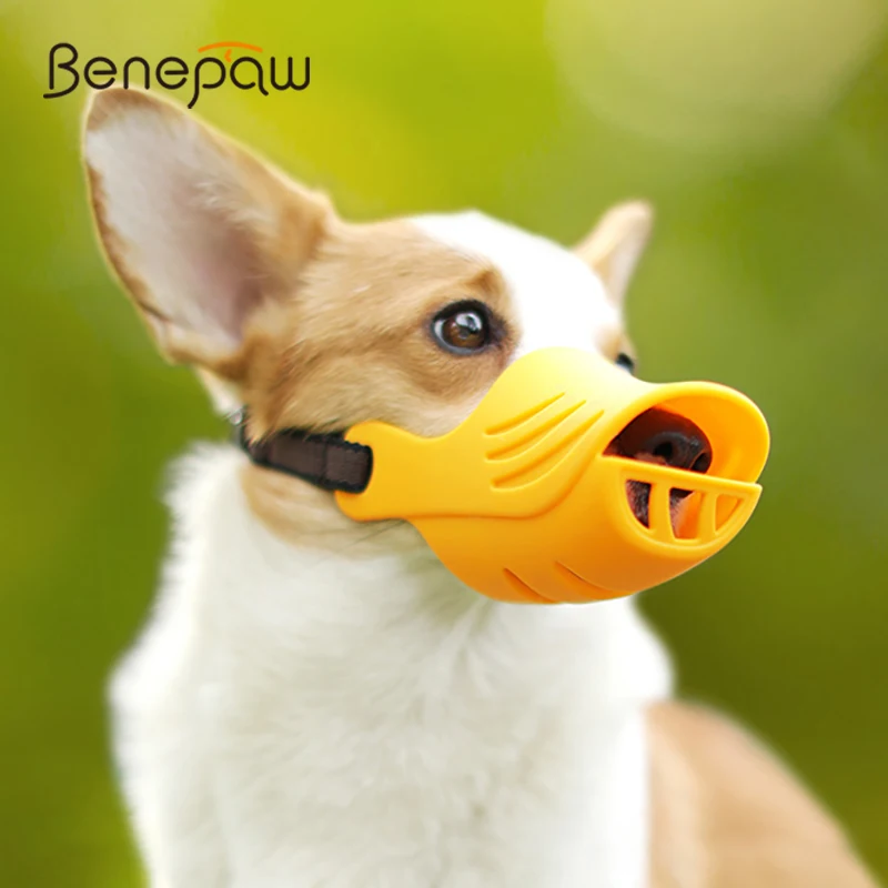 #7 Trending Puppy Muzzles Right Now