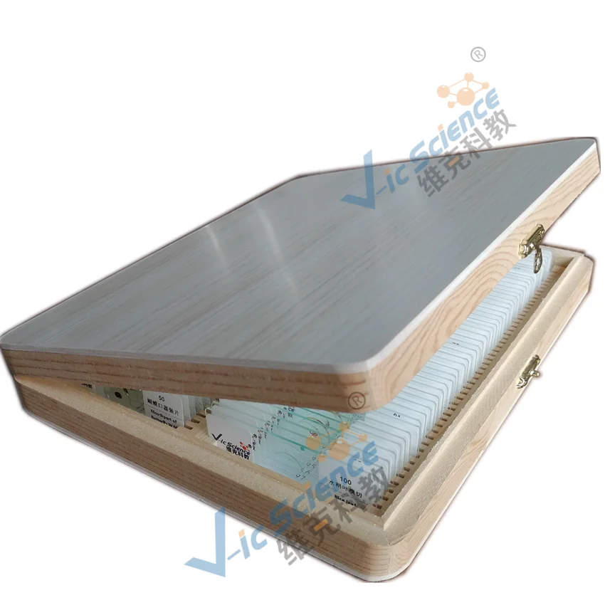 Lames de Microscope préparées pour l'école secondaire, 91 articles