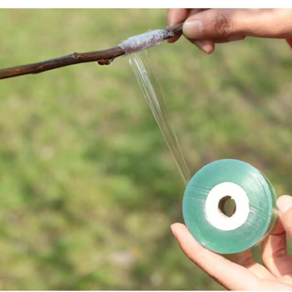 2CM-5CM x 100M / 1 rotolo di nastro per innesto di carta attrezzi da giardinaggio cesoie da potatura per alberi da frutto reggette da giardinaggio materiale PE