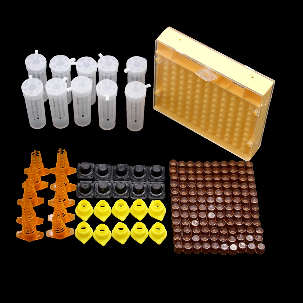 

1SET Beekeeping King Queen Bee Rearing System Box Plastic Cup Cell Protection Cover Cage Apiculture Kit Bees Tools Supplies