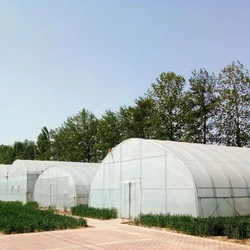 8M*30M-Large Commercial Green Houses