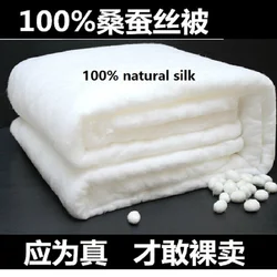 Can Be Customized 100% Mulberry Silk Comforter Filling Without Quilt Cover Choose Different Weight In Different Seasons