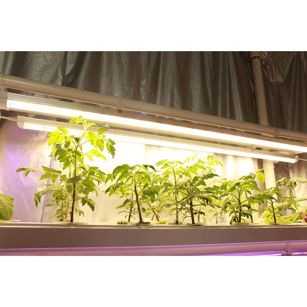 Imagem -05 - Tubo de Led t8 para Cultivo de Plantas Hidropônicas Barra de Cultivo com Encaixe para Cultivo Interno de Estufas e Sistemas Hidropônicos 10 Fábricas