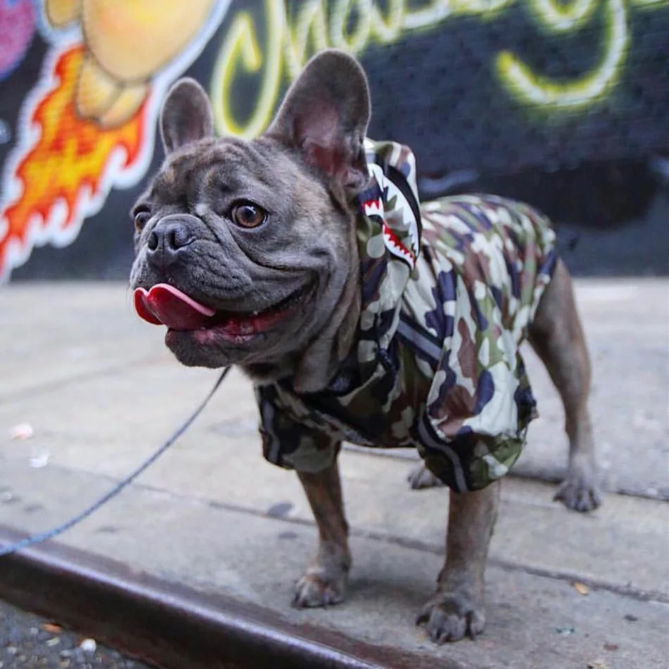 FATHIN Dog Clothes Adidog Camouflage French Bulldog Pupreme Shirt Dog Camo Windbreaker Sport Retro Dog Hoodies Pet Clothes