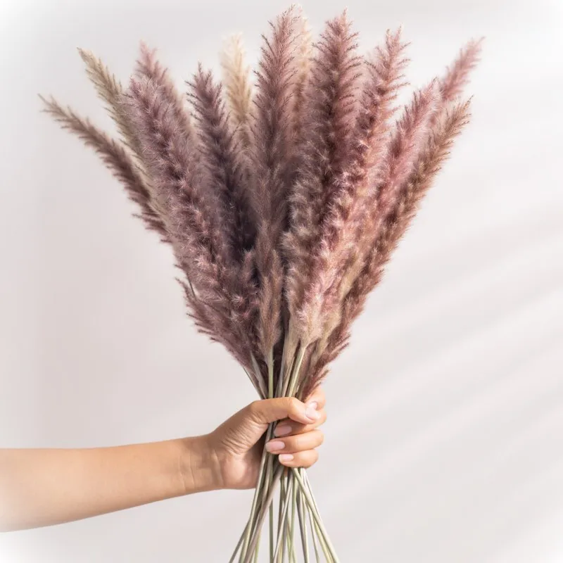 

Natural Dried Small Pampas Grass, Real Plants, Home Decor, Wedding Decoration, Kwiaty, Fleur Sechee, 15Pcs