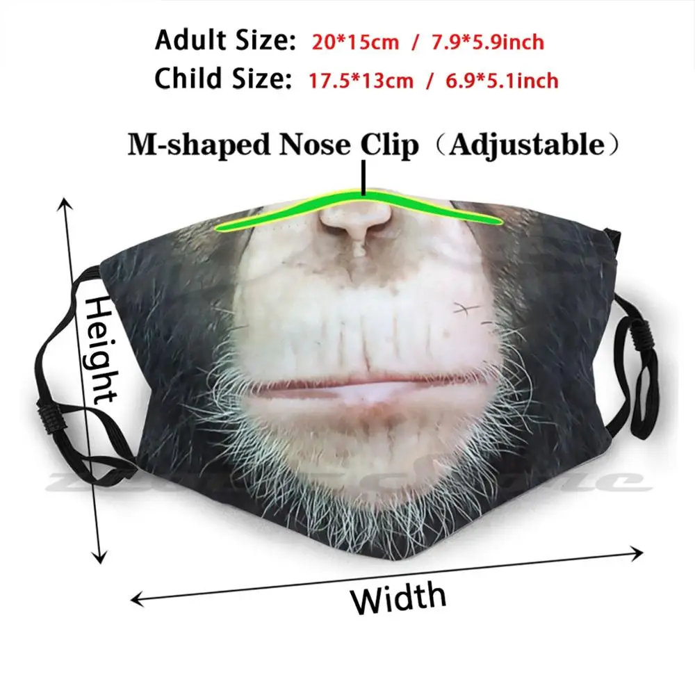 Mascarilla facial de chimpancé para adultos y niños, máscara lavable con filtro Pm2.5, Logo creativo