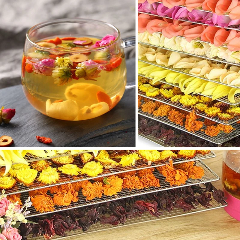 400W Household Stainless Steel Small Dried Fruit Machine Vegetable Mango Flower Tea Pet Jerky Food Dryer