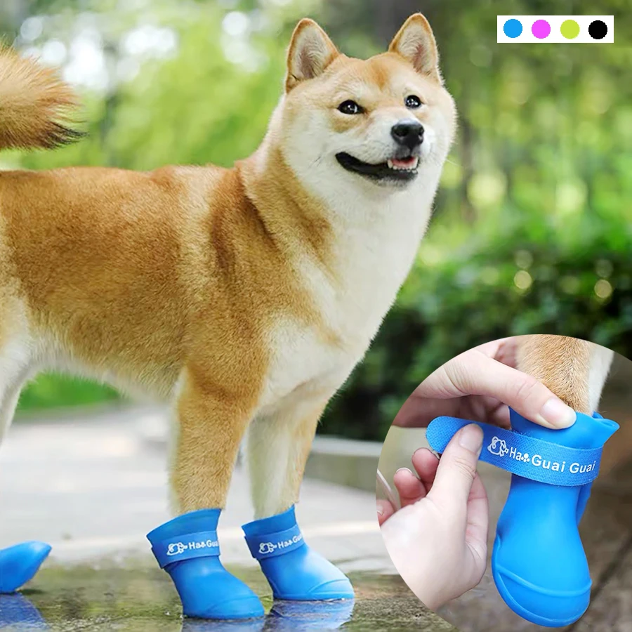 Thumbnail 3 - #2 Latest Puppy Boots Updates