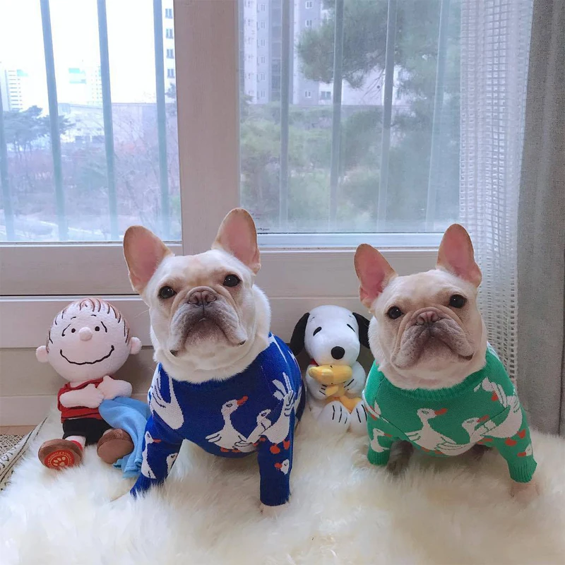 SUPREPET Pet Dog Sweater for French Bulldog Korea Style Duck Pattern Pet Dog Sweaters for Dog Winter Dog Clothes for Chihuahua