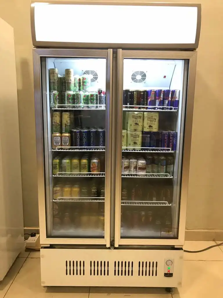 ثلاجة زجاجية تجارية 488 لتر، 2 باب زجاجي، خزانة عرض ثلاجات عمودية