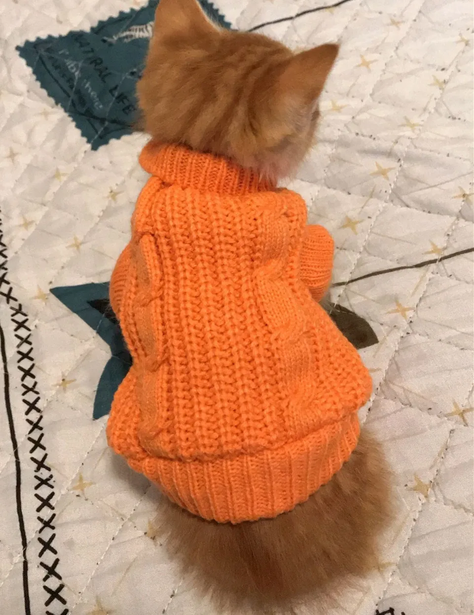 XXXXS/XXXS/XXS Kittens Sweater Kitty Knitted Jumper Puppy Pajamas Cat Hoodie Clothes for Chihuahua Yorkie Pomeranian