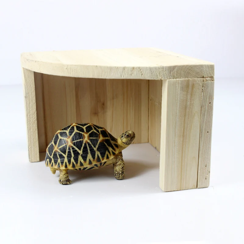 Turtle Reptile Hide Cave Reptiles Avoiding Caves Simulation Tree Bark Amphibians Landscape Lizard Feeding Box Decoration