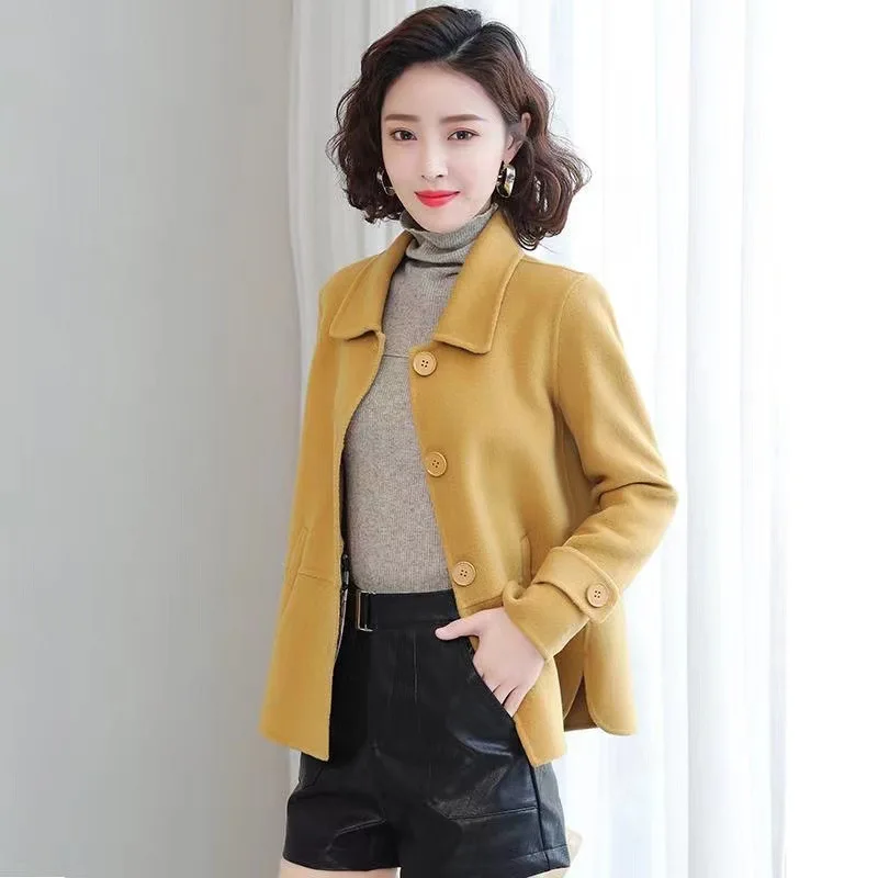 Cloth Coat Female Temperament Is Little Short of New Fund of 2021 Autumn Winters Is Han Edition Imitation Wool Women\'s Clothes