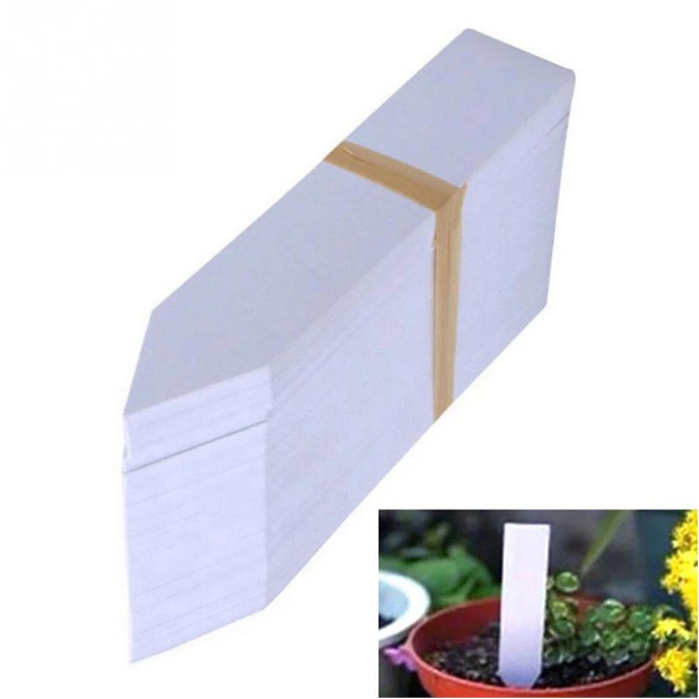 100Pcs Plants Labels Indoor Bonsai Name Tag Plastic Stake Type Kindergarten Flower Pot Plants Garden Ornaments Markers 10x2cm