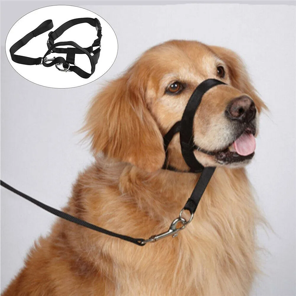 Dogalter Dog Halter Halti Training Head Collar delicato Leader Harness Nylon Grooming Anti Stop masticare accessori per animali domestici