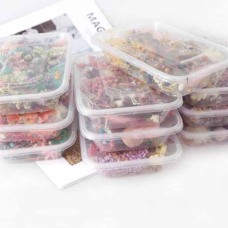 1 Box Random Mix Style Dried Flowers Decoration Natural Floral Sticker Dry Beauty Nail Art Decals Epoxy Mold DIY Filling Jewelry image 6