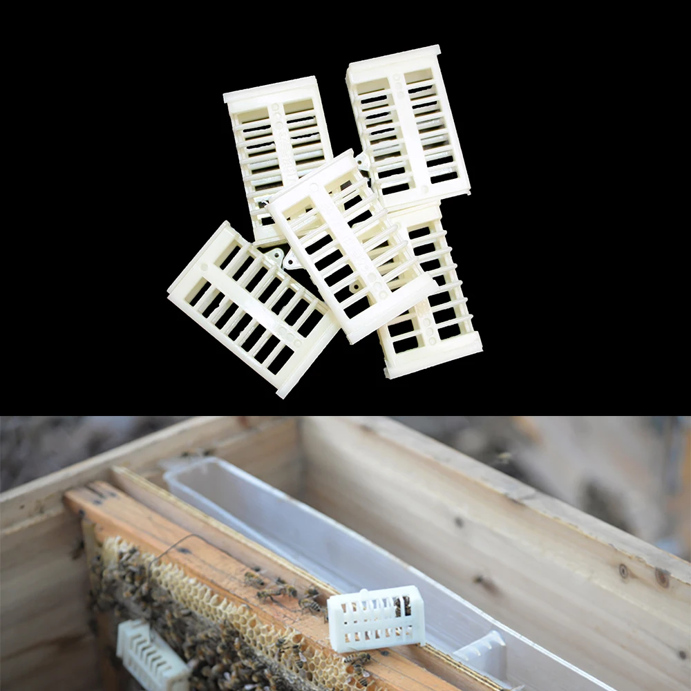 20PCS Beekeeping Queen Bee Cage New Cages Bees Tools Equipment Tool Anti Escape Plastic Cell Beekeeper Supplies Apiculture