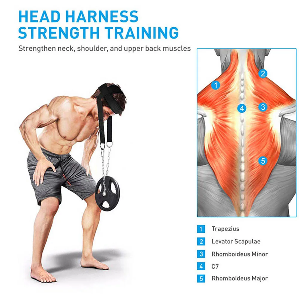 Verstellbarer Nacken-Krafttrainingsgurt, Kopfgeschirr für Körperkraftübungen, Gewichtslagerkappe für Fitnessstudio, Fitnesstraining – Detail 2