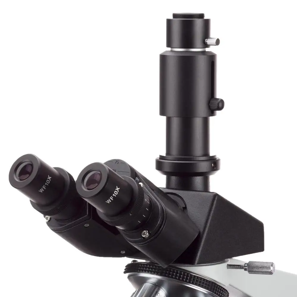 Blood Analysis -Amscope Supplies 40X-2000X Trinocular Compound Darkfield Microscope