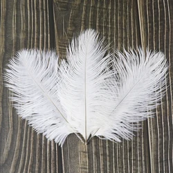 10Pcs Wit Struisvogelveren Voor Ambachten 10-15Cm Wedding Party Home Decoratie Natuurlijke Veren Struisvogel Pluimen Plumas decorativas