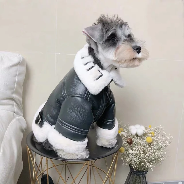 Yorkie jackets sales