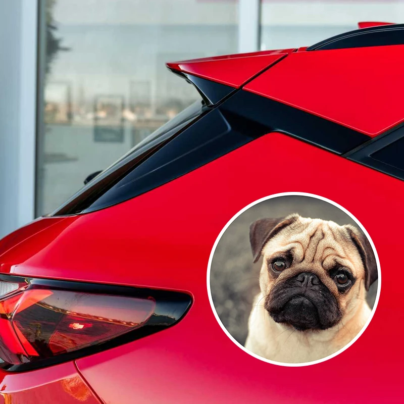 S60050# Cute Tan Pug Dog Puppies Pets Animals Self-adhesive Decal Car Sticker Waterproof Auto Decors on Bumper Rear Window