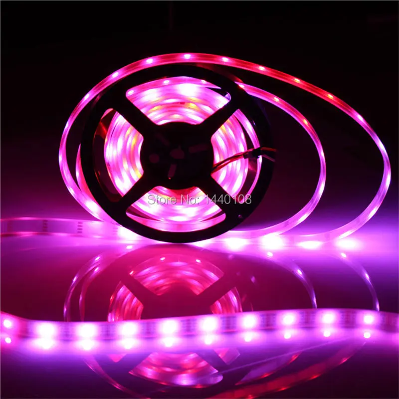 20M/lot Rgb Led Strip Light 4x 5M 5050 SMD RGB WS2811 IC WS2812B WS2812 2812 30 Pixel/m LED Strip Non Waterproof DC5V