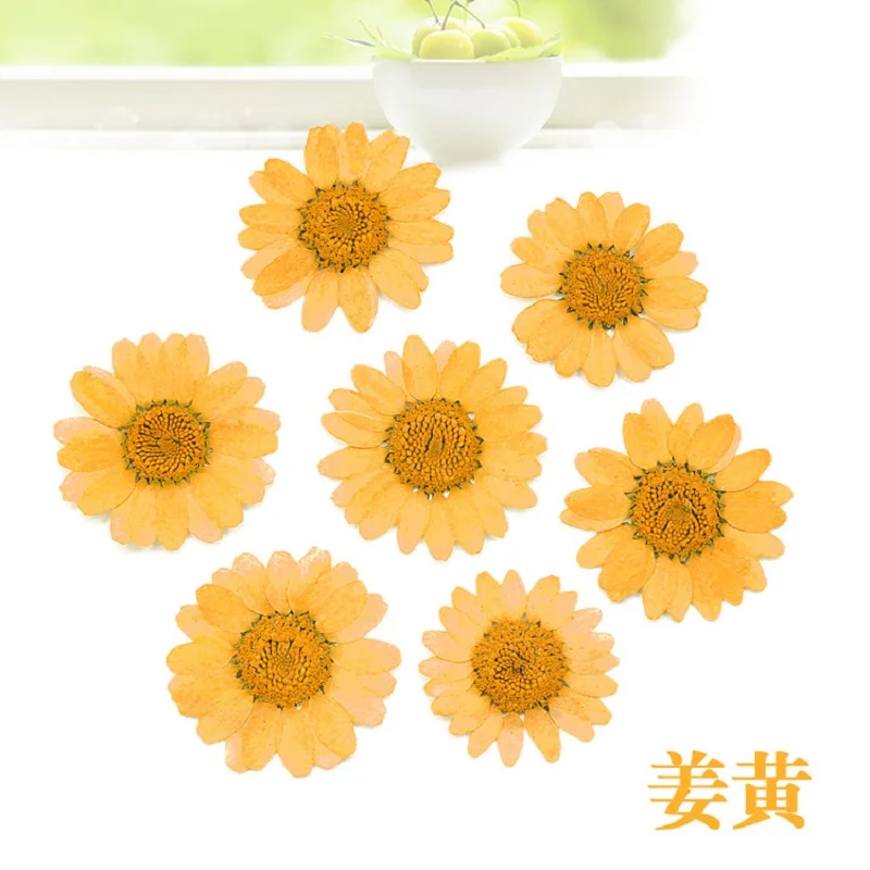 360pcs Pressed Press Dried Daisy Dry Flower Plants For Epoxy Resin Pendant Necklace Jewelry Making Craft DIY Accessories