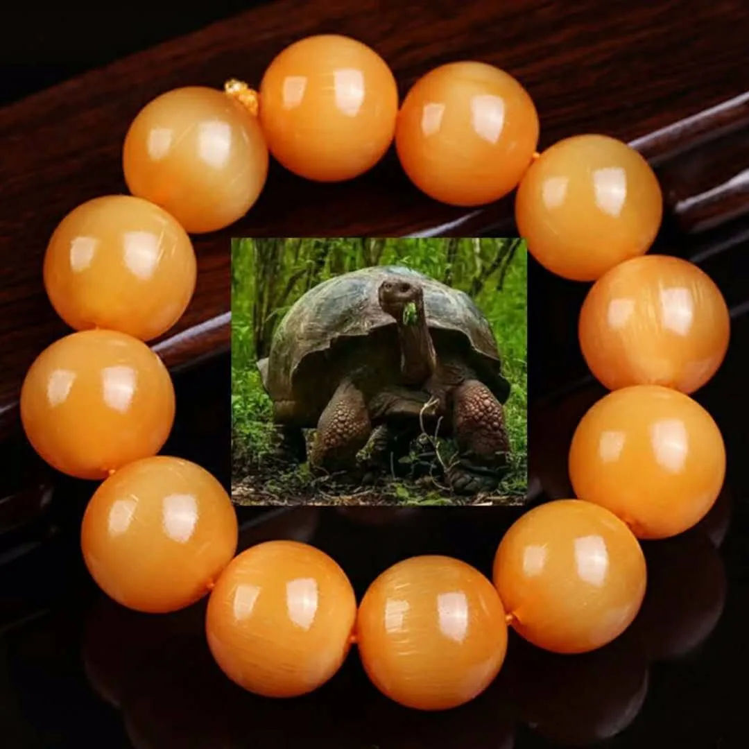 Natural Wild Mountain Turtle Hand String Golden Mountain Turtle Shell Bead Single Circle Buddha bracelet precious China medicine