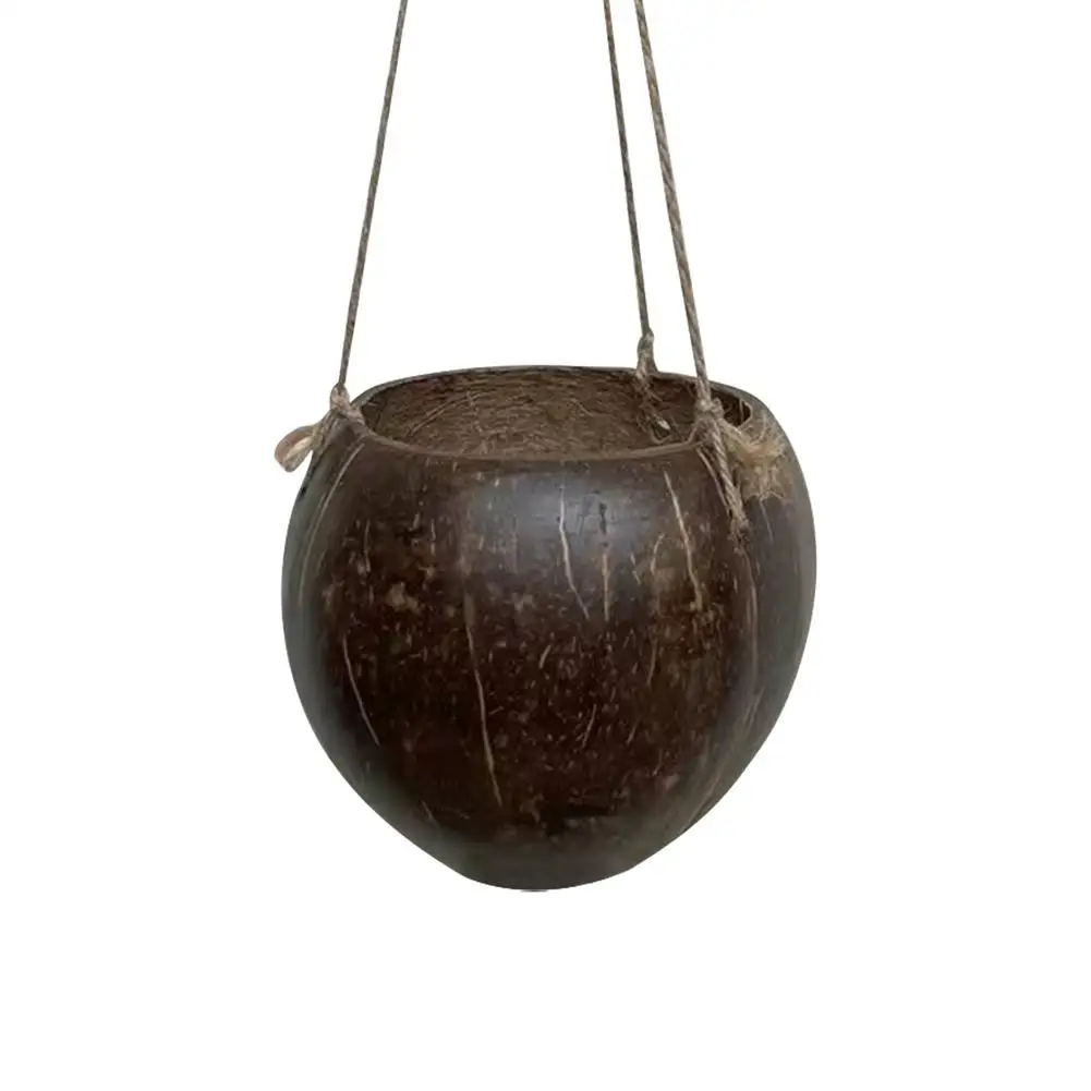 Creative Coconut Shell Hanging Basket Flower Pot Wall Hanging Succulent Plants Hanging Basin Home Garden Balcony Decoration