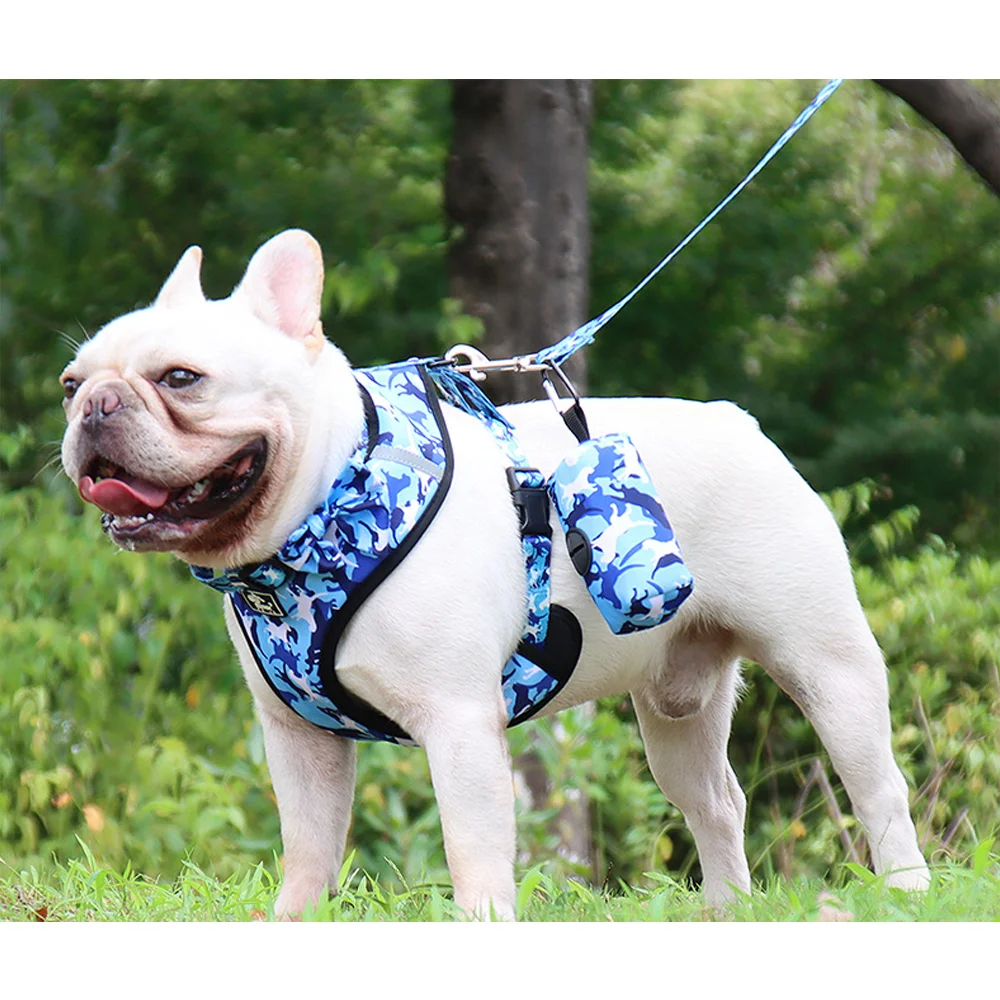 

Polyester Mesh Dog Harness And Leash For Small Dogs Training Soft Mesh Chest Strap Supplies Adjustable Outdoor Walking Cat Lead