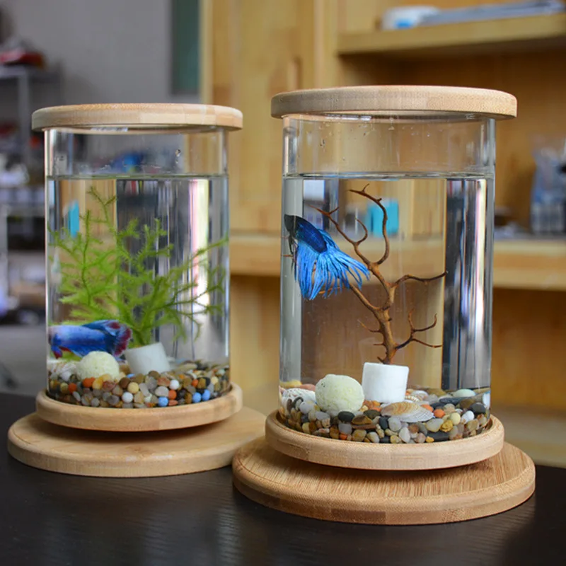 Mini Glass Fish Tank with Bamboo Base, DIY Fish Tank, Decoration Accessories, Rotate Decoration, Desktop, Ecological Bottle, 1Pc