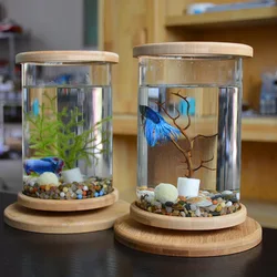 Mini Glass Fish Tank with Bamboo Base, DIY Fish Tank, Decoration Accessories, Rotate Decoration, Desktop, Ecological Bottle, 1Pc