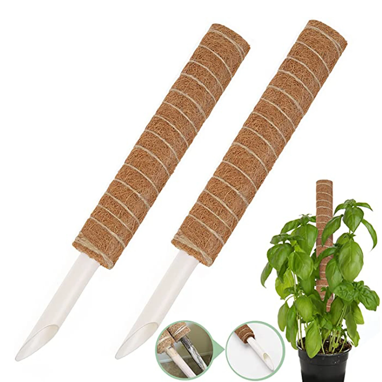 Pianta rampicante palo cocco Totem supporto per piante muschio palma viti bastoncini di cocco per casa rampicante piante in vaso da interno rampicante crescere