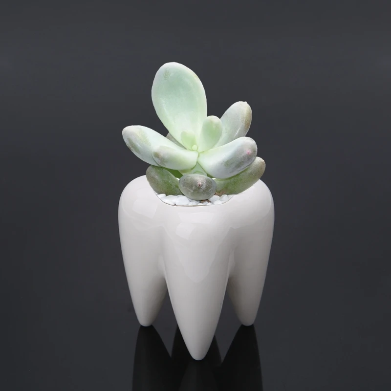 2022 nowy kształt zęba ceramiczna doniczka na kwiaty zielona doniczka na sukulenty Cactus Container Decor