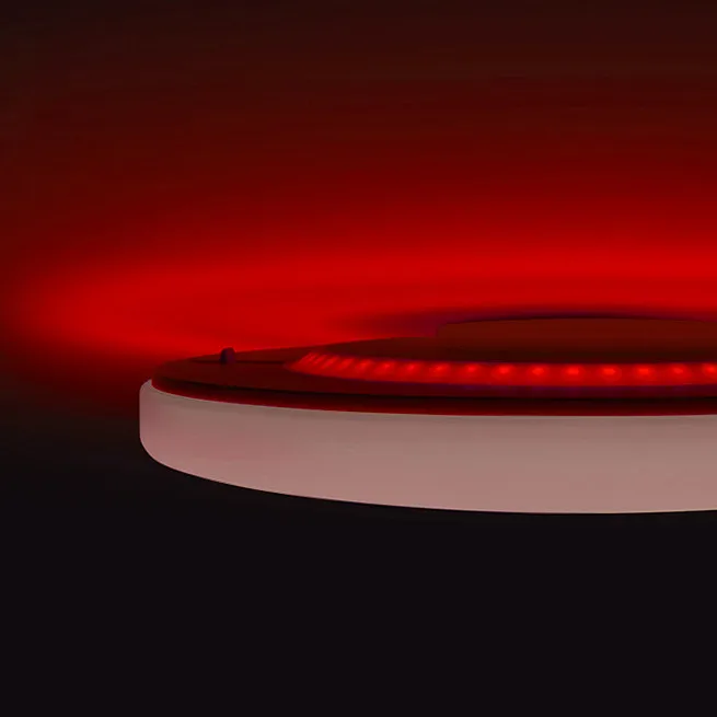 Yeelight-luz LED de techo inteligente Arwen, iluminación colorida de 550c, brillo ajustable, funciona con el asistente de google, Amazon y alexa