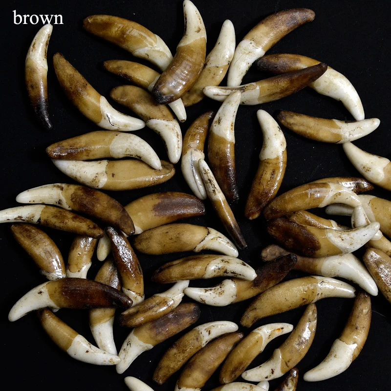 YZ002White /Ecru /Brown Natural Tooth Bone Beads Pendants Diy For Jewelry Making Fashion Jewelry Accessories 20~52mm, No Hole