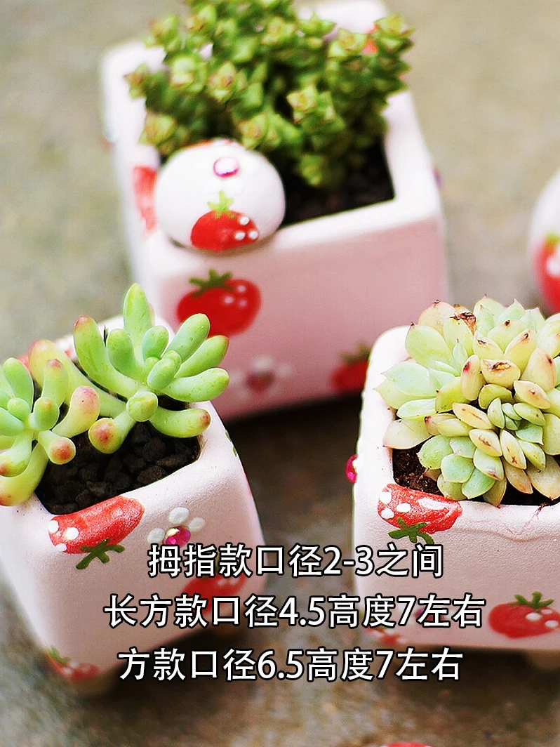 Cute Cartoon Strawberry Multi-meat Bowl Rough Pottery Breathable Belt Drill Multi-meat Small Flowerpot Mini Strawberry Stone