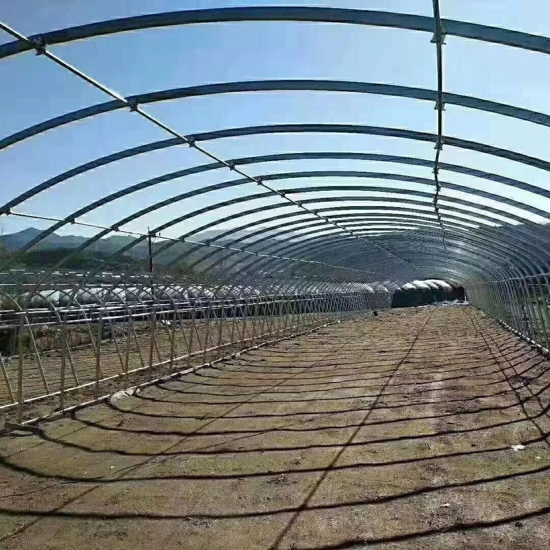 Estructura de tubo de acero ovalado galvanizado, anticorrosión y compresión, inmersión en caliente, invernadero agrícola, 12M x 30M