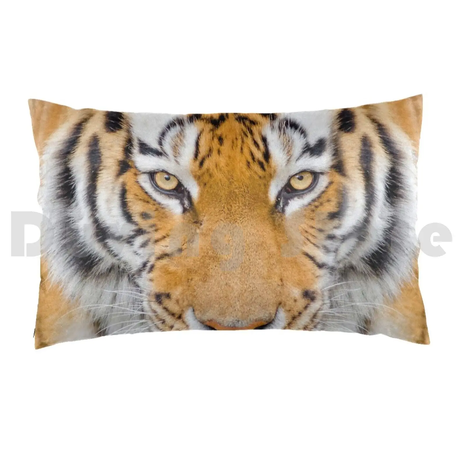 Bengal Tiger Pillow Case DIY 50*70 Bengal Tigger Animal Big Cat Cat Tiger Big Tiger Tiger Face