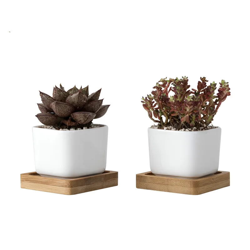 2Pieces Geometic White Ceramic Square Bonsai Planter Little Succulent Flower Pots Modern Small  Cactus Flowerpot Bamboo Tray