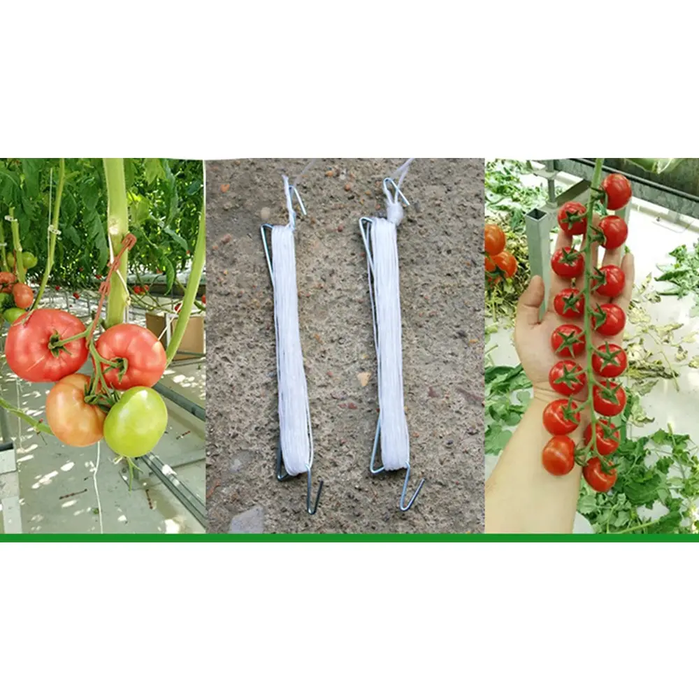 Garden Plant Support Tomato Support J Hook Tomato Plant Holder Binder Vegetables Clamp Anti-crush Hooks Length 10m