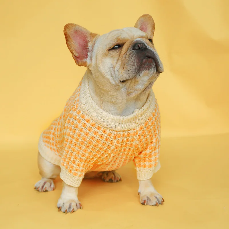 PETCIRCLE New Dog Puppy Clothes Orange Wafer Sweater Pet Cat Fit Small Dog Spring and Autumn Pet Cute Costume Dog Cloth Sweater