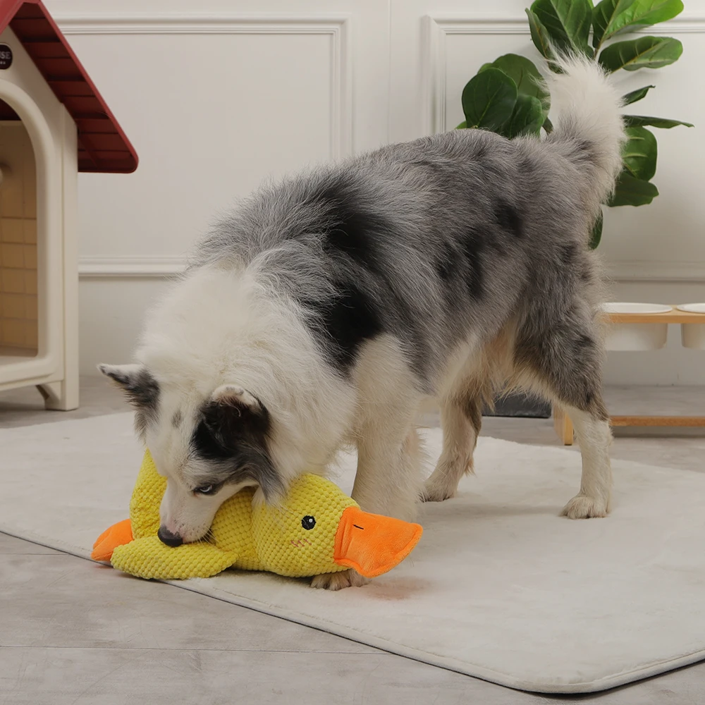 HOOPET VIP Dog Sleeping Toy Duck Chew Sounding Toy for Medium Large Dogs Outdoor Interactive Pet Training Toy Dog Accessories