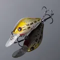 NF002
