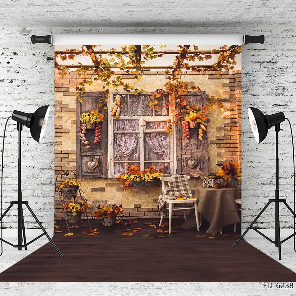 나뭇잎 나무 창 바닥 마당 사진 배경, 비닐 배경, 아기, 어린이 초상화, 할로윈 포토콜, 사진 소품