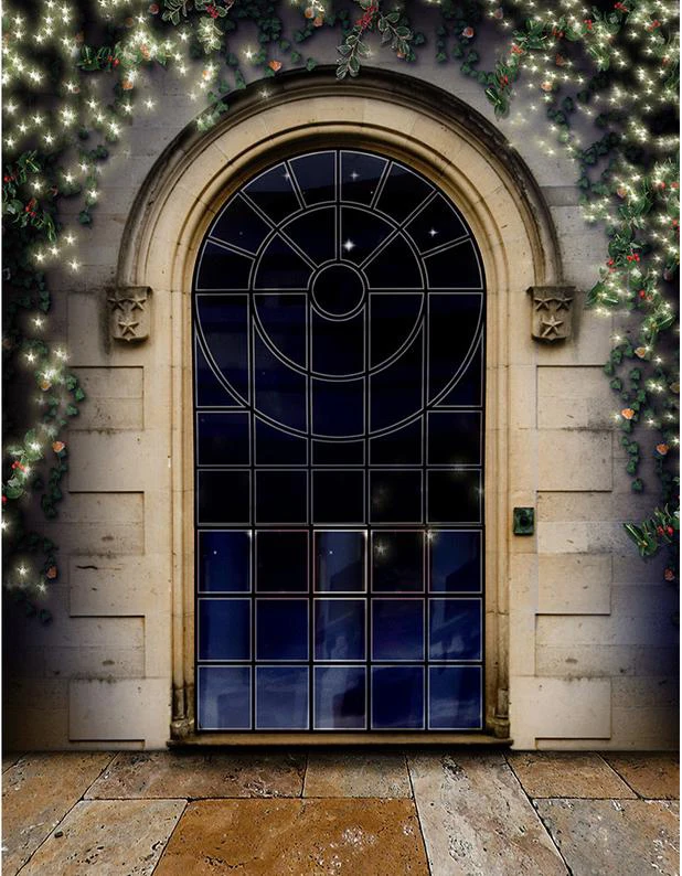 Window Wishes Holly Twinkling Lights arch door backgrounds Vinyl cloth High quality Computer print party backdrops