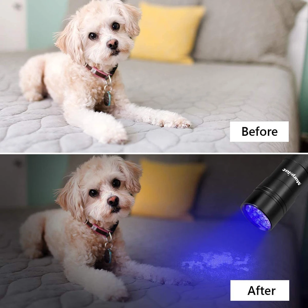 Uv-黒の防水ポータブル懐中電灯,12 LED,395nm,ミニランプ,ペット,汚れ用の懐中電灯