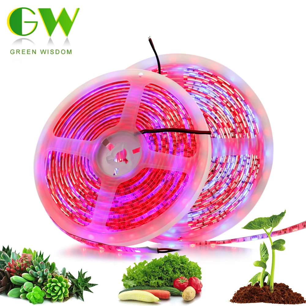 

LED Plant Grow Lights Full Spectrum Phytolamp for Plants Flowers Seeds Phyto Tape SMD 5050 LED Strip for Greenhouse Grow Tent 5M