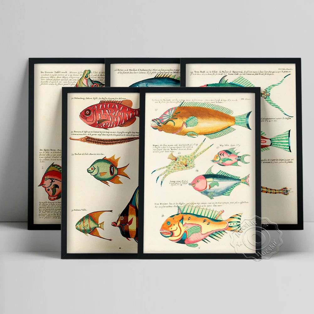 The Beautiful Fish Louis Renard Poster, Whimsical Fish Marine Life Illustration Prints, Vintage Fisk Picture, Gallery Wall Decor